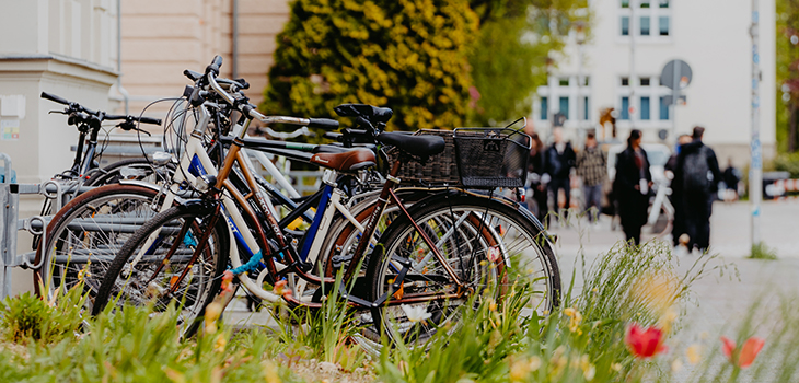 Bicycles on Campus