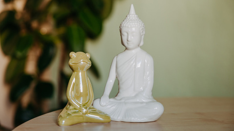 Buddha und Frosch Figur (c) Jana Dünnhaupt Uni Magdeburg
